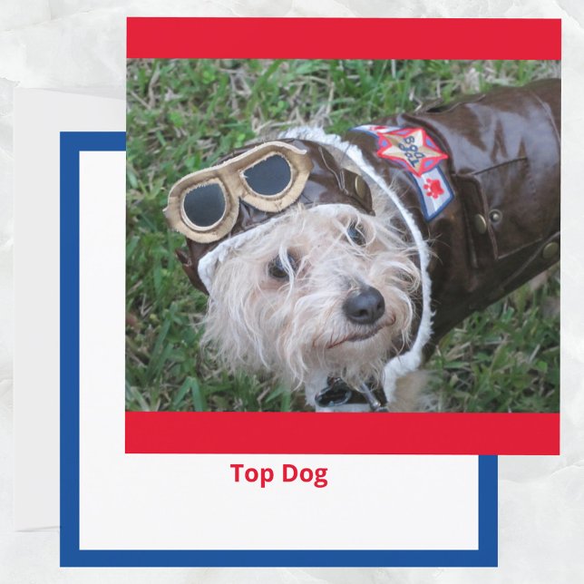 Top Chien en costume d'aviateur Carte de note plat (Créateur téléchargé)