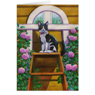 Top der Ladder Tuxedo Katze