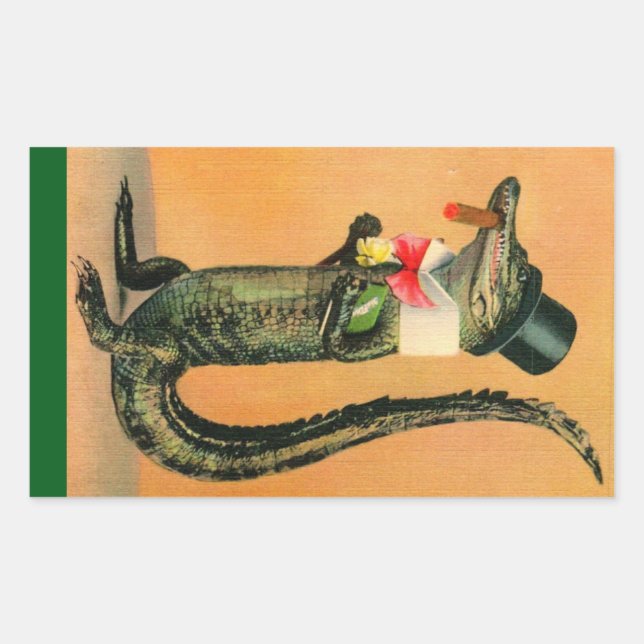 Top Hat Gator Rechteckiger Aufkleber (Vorderseite)
