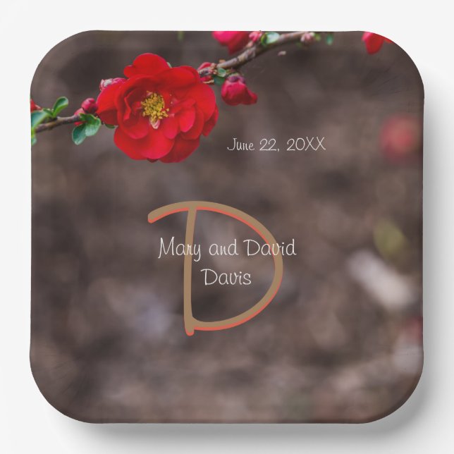 Top Hochzeitspapier-Teller Pappteller (Vorderseite)