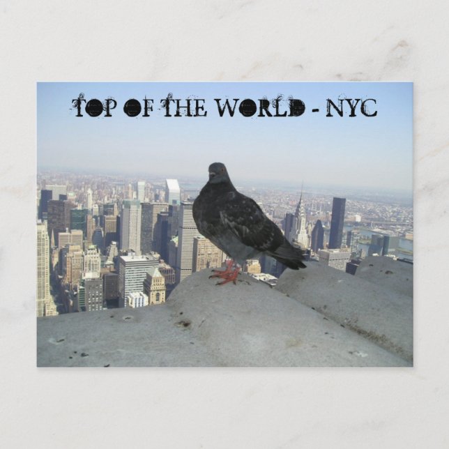 TOP OF THE WORLD - NYC POSTKARTE (Vorderseite)