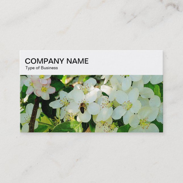 Top Panel - Honigbiene auf Blossom Business Card Visitenkarte (Vorderseite)