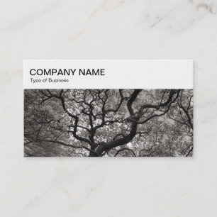 Top-Panel - Magnolia Trees Business Card Visitenkarte