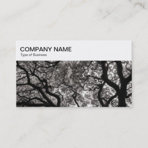 Top-Panel - Magnolia Trees Business Card Visitenkarte