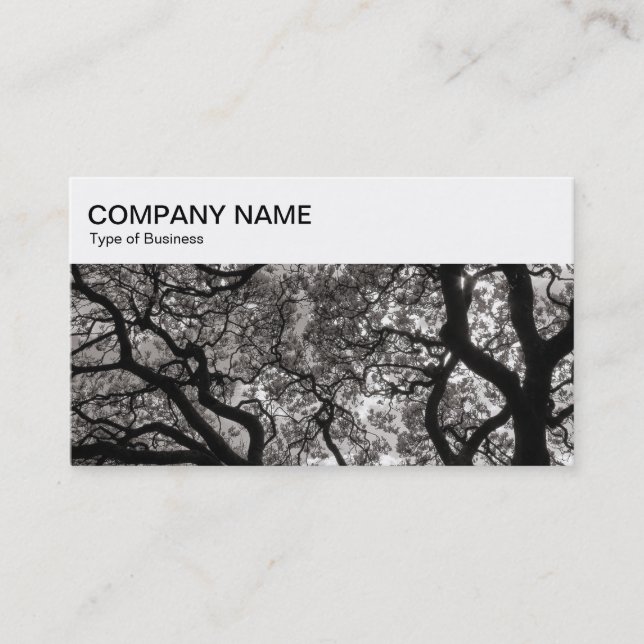 Top-Panel - Magnolia Trees Business Card Visitenkarte (Vorderseite)