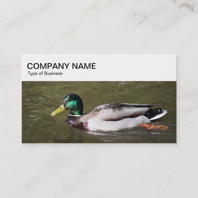 Top Panel - Mallard Duck Business Card Visitenkarte (Vorderseite)