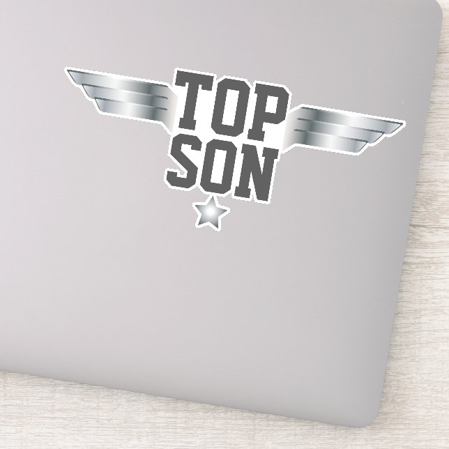 Top-Son-Aviator-Flügel Silbereffekt Aufkleber (Detail)
