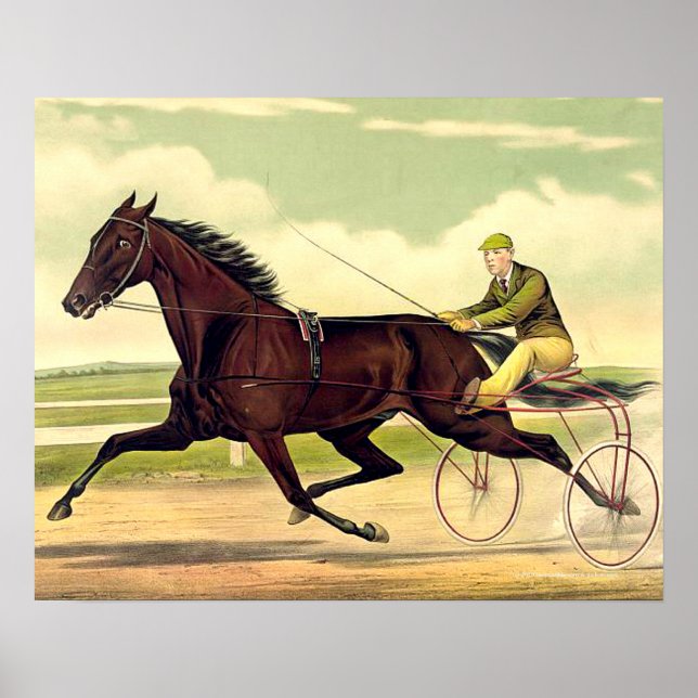 TOP Sulky Champ Poster (Vorne)