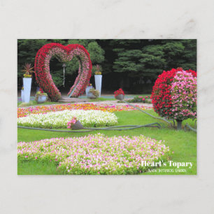 Topary du coeur : Carte postale
