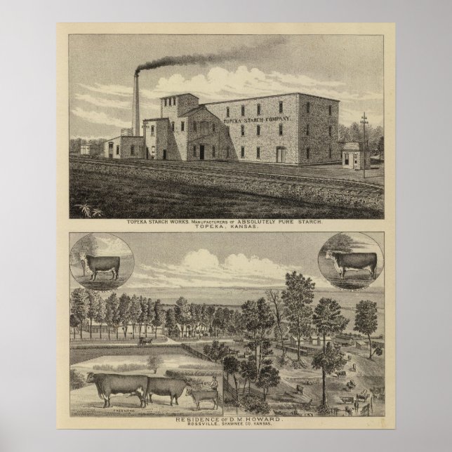 Topeka Starch Workand Residence DM Howard Poster (Vorne)