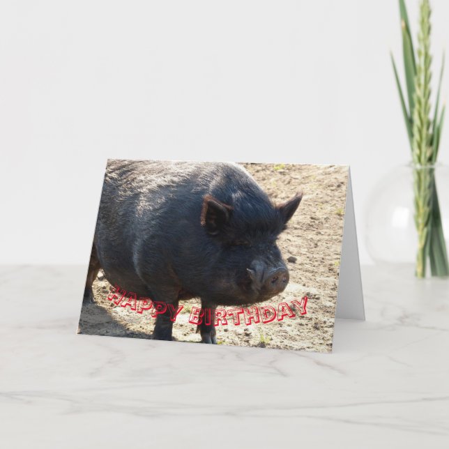 Topf aufgeblähte Schwein Geburtstagskarte Dankeskarte (Vorderseite)