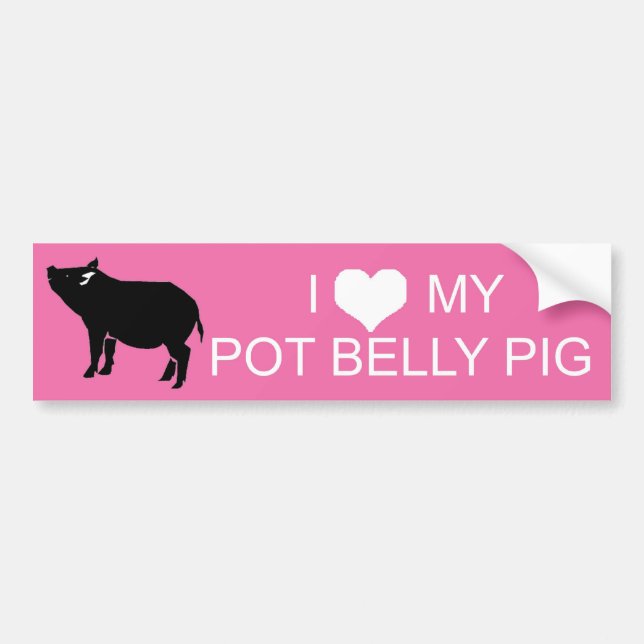 Topf-Bauch-Schwein-Autoaufkleber Autoaufkleber (Vorne)