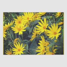 Topinambur-Blüten