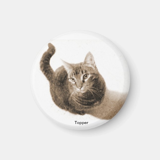 Topper the Cat Magnet (Vorne)