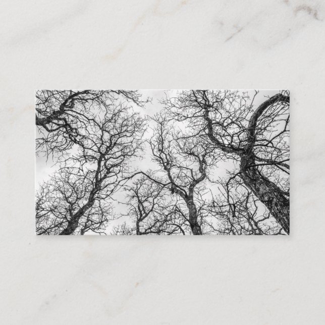 Tops von gekrönten, seltsamen Bäumen Visitenkarte (Vorderseite)
