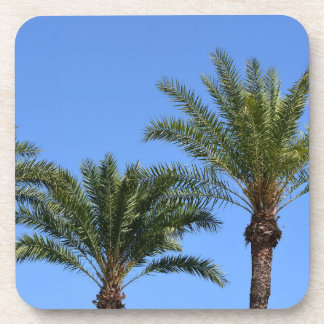 Tops von Palmen gegen den blauen Himmel Getränkeuntersetzer