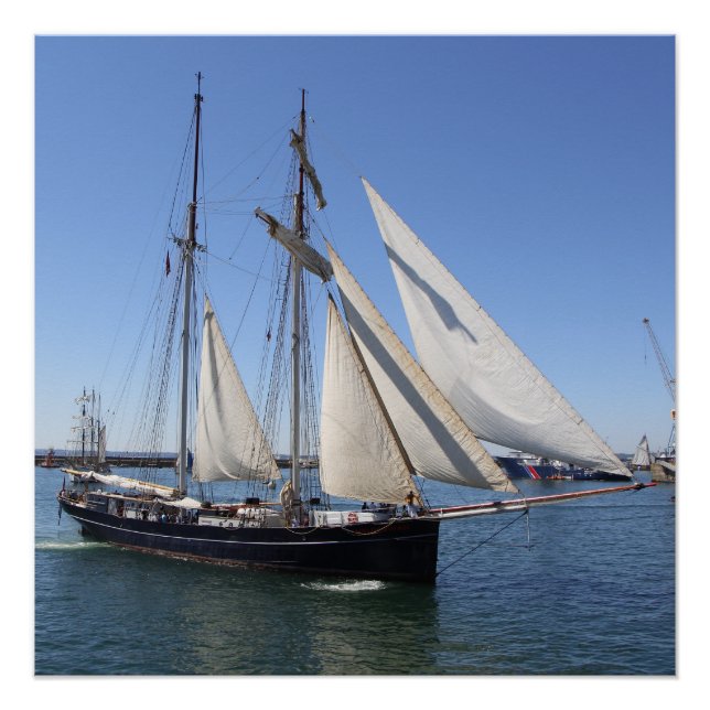 Topsail Gulet im Hafen von Brest Poster (Vorderseite)