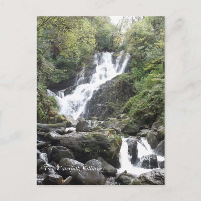 Torc Waterfall, Killarney. Irland Postkarte (Vorderseite)