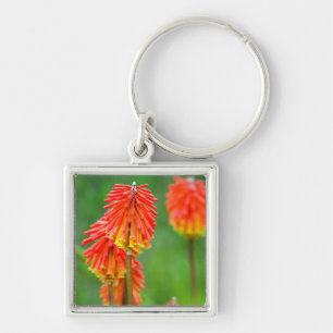 Torch Lily (Kniphofia Uvaria), Western Kap Schlüsselanhänger