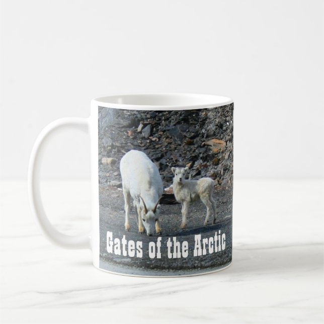 Tore der arktischen Tasse (Links)