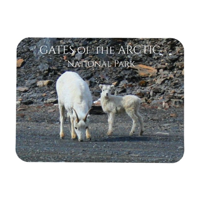 Tore des Arktischen Nationalparks Magnet (Horizontal)