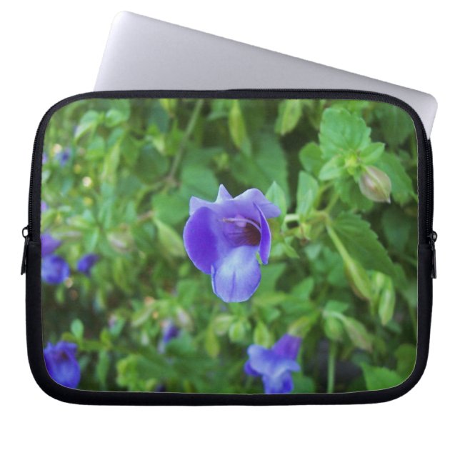 Torenia Laptopschutzhülle (Vorderseite)