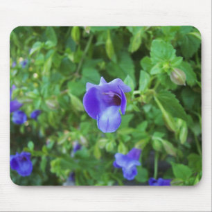 Torenia Mousepad