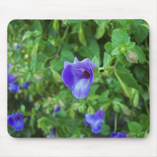 Torenia Mousepad (Vorne)