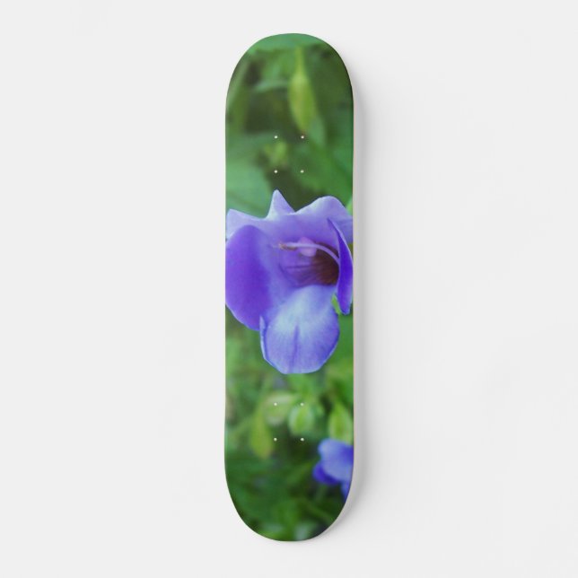Torenia Skateboard (Vorderseite)