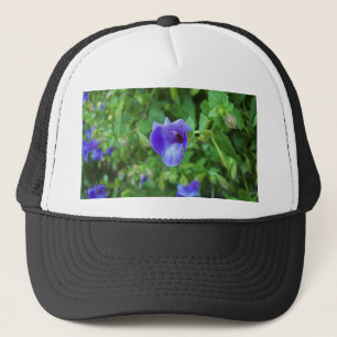 Torenia Truckerkappe