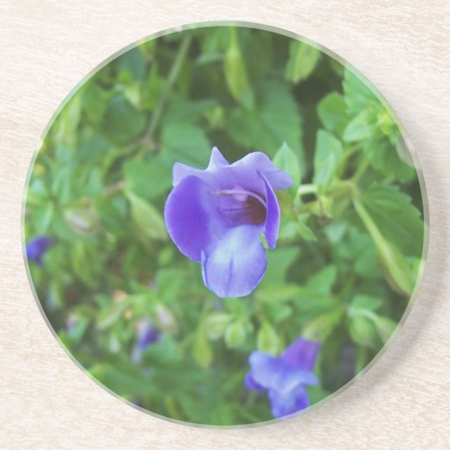 Torenia-Untersetzer Sandstein Untersetzer (Vorne)