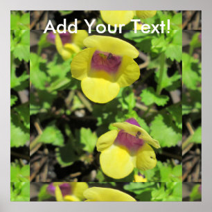 Torenia Yellow Pflanze Garden Blume Poster