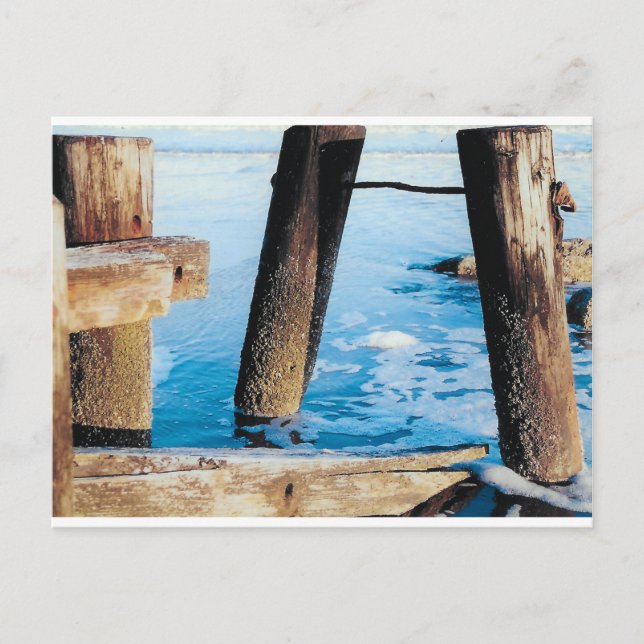 Torhühner Postkarte (Vorderseite)