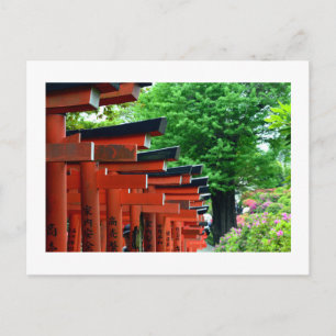 Torii Gates, Nezu Shrine: Tokio, Japan Postkarte