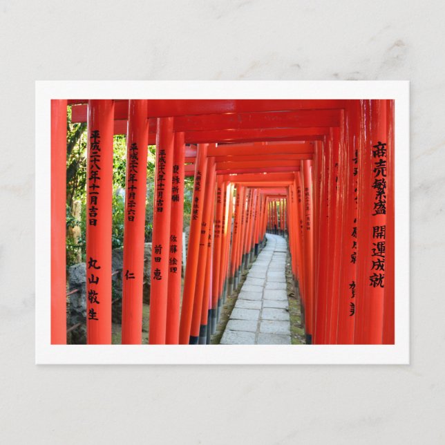 Torii Gates von Nezu Shrine: Tokio Postkarte (Vorderseite)