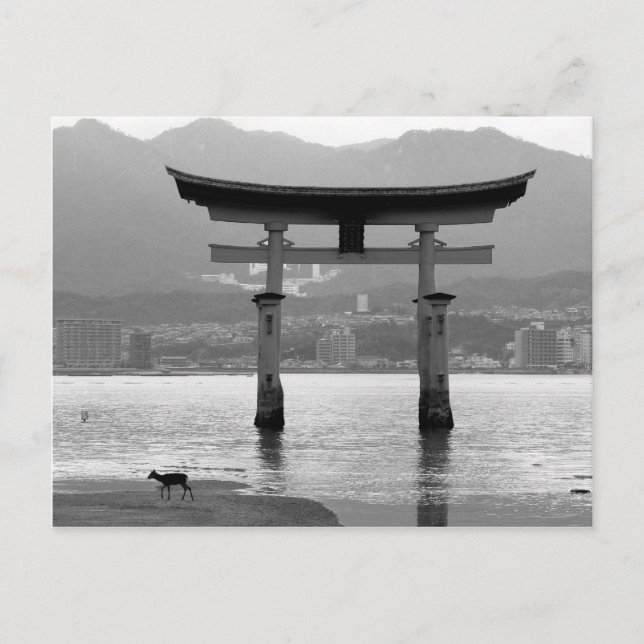 Torii und Deer Postkarte (Vorderseite)