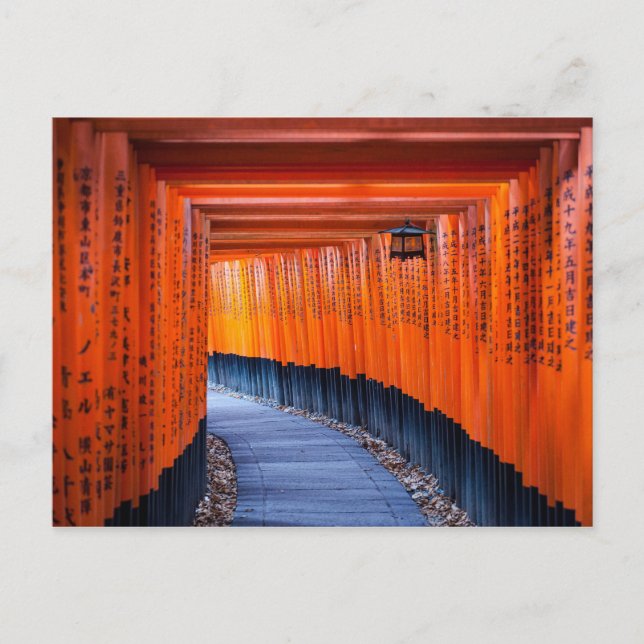 Torii Weg von Fushimi Inari-Taisha Schrein Postkarte (Vorderseite)