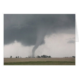 Tornade de champ