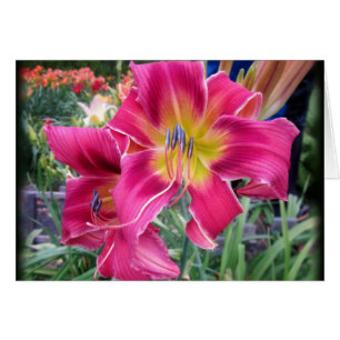 Tornade de colorant de cravate - Daylily
