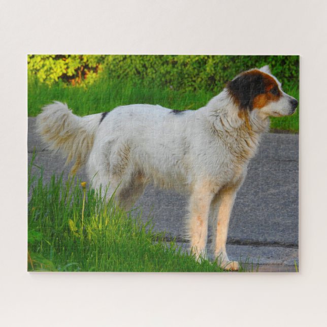 Tornjak-Hunde-Puzzles. (Horizontal)