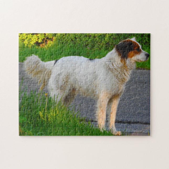 Tornjak-Hunde-Puzzles. (Horizontal)