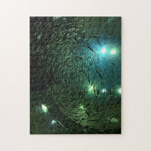 Toronto Aquarium Kanada.