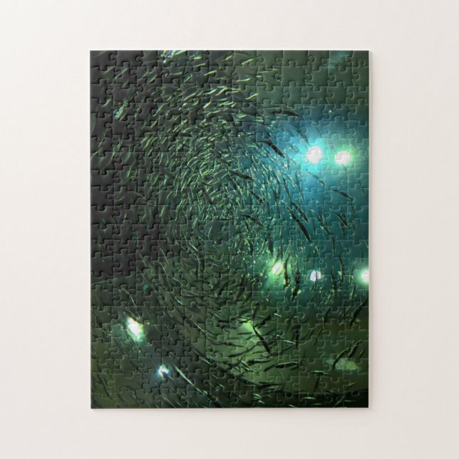 Toronto Aquarium Kanada. (Vertikal)