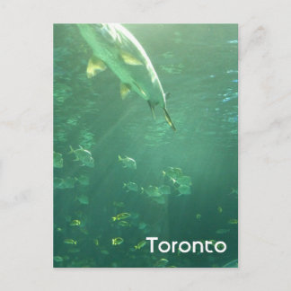 Toronto Aquarium Postcard Postkarte