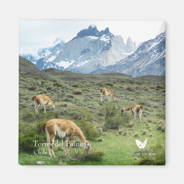 Torres del Paine - Kühlschrankmagnet von Velvet Es (Vorne)
