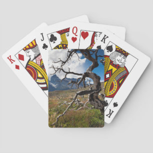 Torres del Paine Nationalpark, durch Feuer beschäd Spielkarten