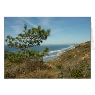 Torrey-Kiefer und kalifornische Küstenlandschaft
