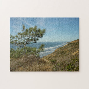 Torrey-Kiefer und kalifornische Küstenlandschaft