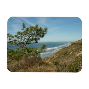 Torrey-Kiefer und kalifornische Küstenlandschaft Magnet
