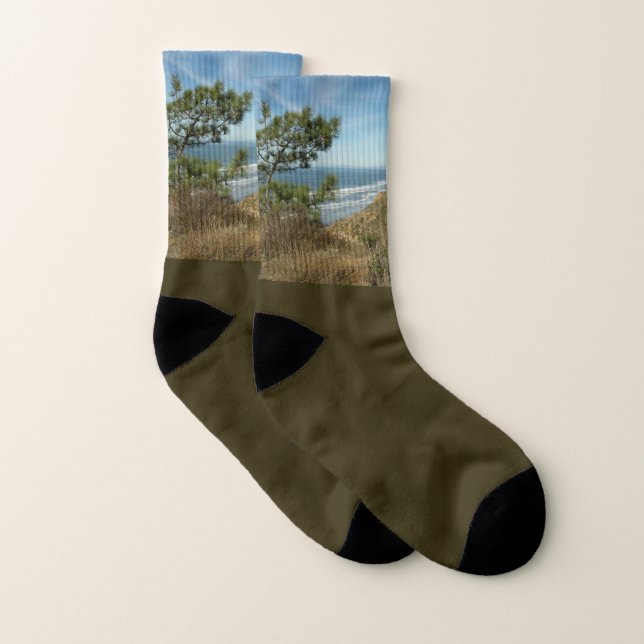 Torrey Pine and California Coastline Landscape (Paire)